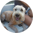 Mark Fuse profile picture